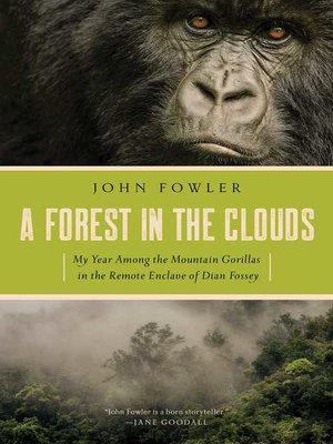 A Forest in the Clouds - ebook